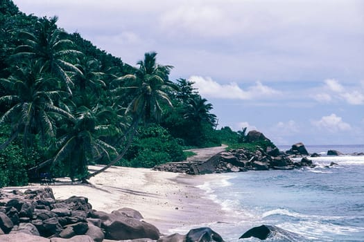 tropical beach with palm trees in Anse Gaulettes, La Digue island, Seichelles.