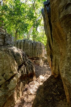 Petit Tsingy de Bemaraha, Strict Nature Reserve located near the western coast of Madagascar. UNESCO World Heritage with unique geography, mangrove forests, and animal. Madagascar wilderness landscape