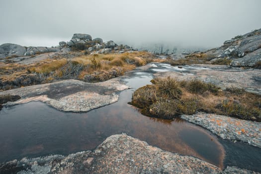 Andringitra national park, Haute Matsiatra region, Madagascar, beautiful mountain landscape, trail to high peak in mist and fog. Hiking in Andringitra mountains. Madagascar wilderness landscape.