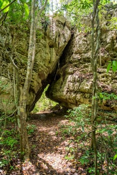 Petit Tsingy de Bemaraha, Strict Nature Reserve located near the western coast of Madagascar. UNESCO World Heritage with unique geography, mangrove forests, and animal. Madagascar wilderness landscape