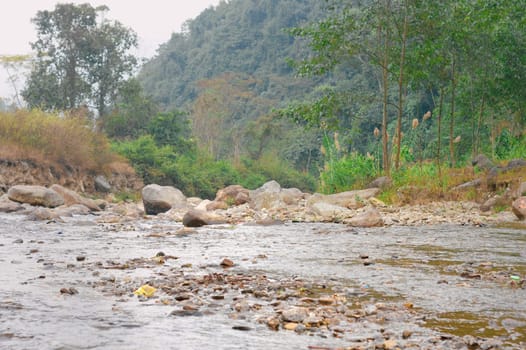 Himalayas mountain valley. Rangbang river mountain valley.Tabakoshi West Bengal India