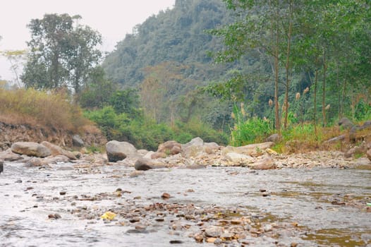 Himalayas mountain valley. Rangbang river mountain valley.Tabakoshi West Bengal India