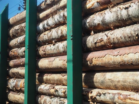 cargo timber train. Open train carriage with a bundle of timber for export. Deforestation and ecology. Transportation of goods by rail. Business logistics. Green steel restraints. Illegal logging