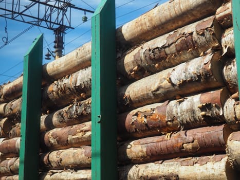 cargo timber train. Open train carriage with a bundle of timber for export. Deforestation and ecology. Transportation of goods by rail. Business logistics. Green steel restraints. Illegal logging