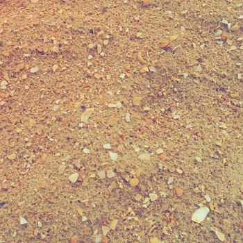 Sand with seashells background. Wet coarse quartz sand. Broken seashells. Beach after heavy rain. Silica. Crushed quartz sand, natural brown material after a storm. Dents from drops in the sand. Anapa.