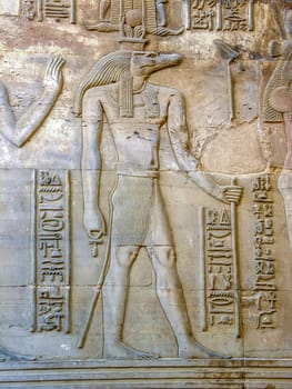 Crocodile head depicting an ancient Egyptian mythological god carved on wall of Kom Ombo temple near Aswan. A village of enormous archaeological significance beside the Nile River in southern Egypt.
