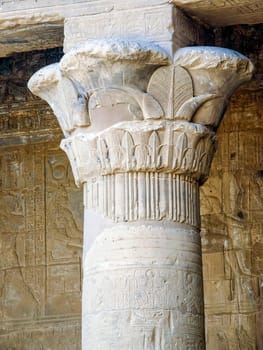 ancient egyptian architecture ruins. hieroglyphs and columns of the Temple of Horus at Edfu, in Egypt