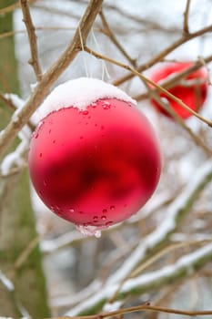 A bright red ball at Christmas time covered with snow on a tree outside.