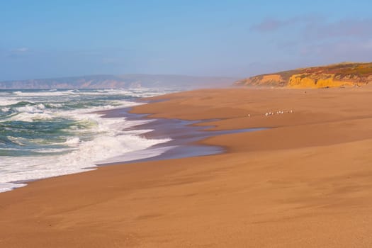 Lonely Beach on a Remote Coast in Point Reyes National Seashore in California
