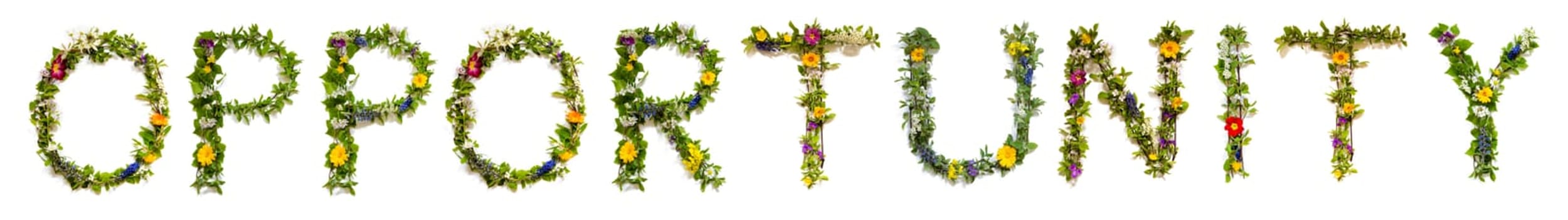 Blooming Flower Letters Building English Word Opportunity. Summer And Spring Season Blossoms And Flower Lei.