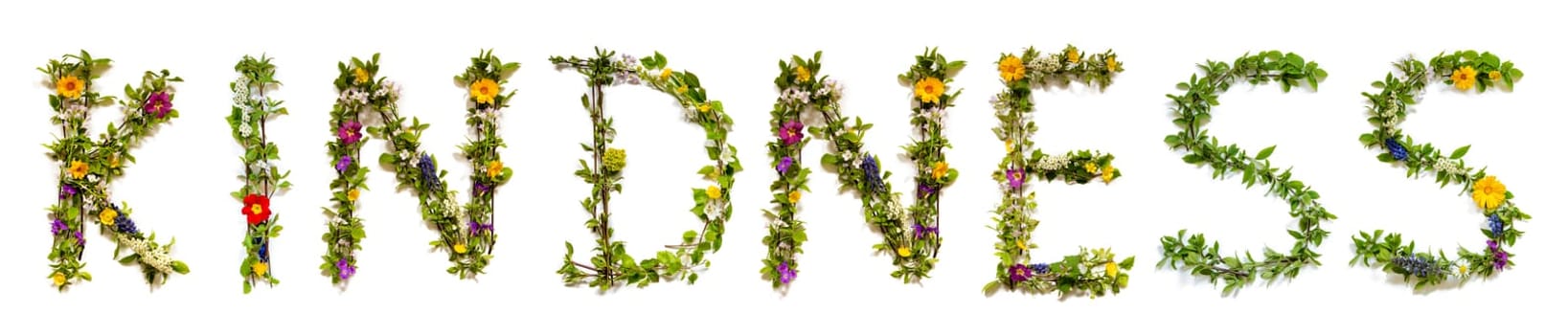 Blooming Flower Letters Building English Word Kindness. Summer And Spring Season Blossoms And Flower Lei.