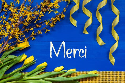 French Text Merci Means Thank You. Yellow Spring Flowers Like Tulip And Branches. Festive Decoration With Ribbon. Blue Wooden Background