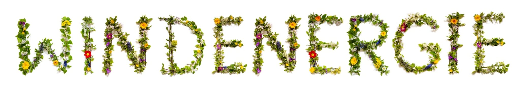 Blooming Flower Letters Building German Word Windenergie Means Wind Energy. Summer And Spring Season Blossoms And Flower Lei.