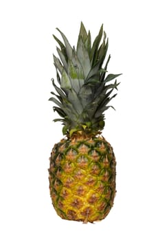 A beautiful fresh fruity ripe pineapple isolated on a white background. Summer holiday and health concept.