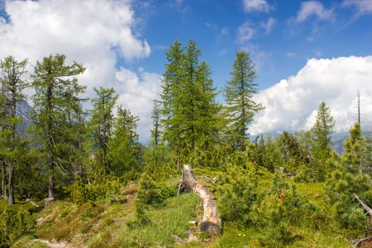 Landscape of Lienz Dolomites in Austria. East Tyrol