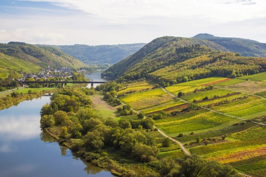 Moselle River in Germany, view of Calmont village and vineyards in the Mosel river valley, Germany