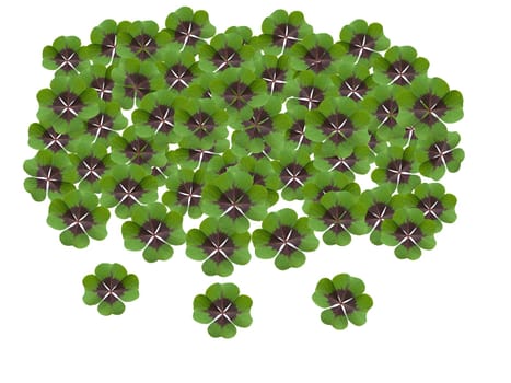 Quadruple clover is a lucky charm if you find it on the meadow,for example. Four clover is a lucky charm if you find it in the meadow,for example.