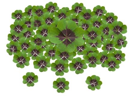 Quadruple clover is a lucky charm if you find it on the meadow,for example. Four clover is a lucky charm if you find it in the meadow,for example.