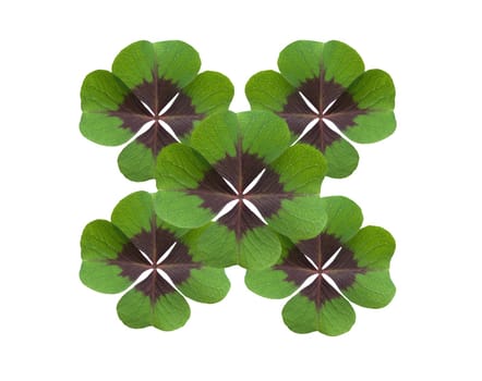 Quadruple clover is a lucky charm if you find it on the meadow,for example. Four clover is a lucky charm if you find it in the meadow,for example.