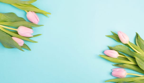 Tulips greeting card for mothers day, birthday, easter holiday, valentines day, spring season, pastel color