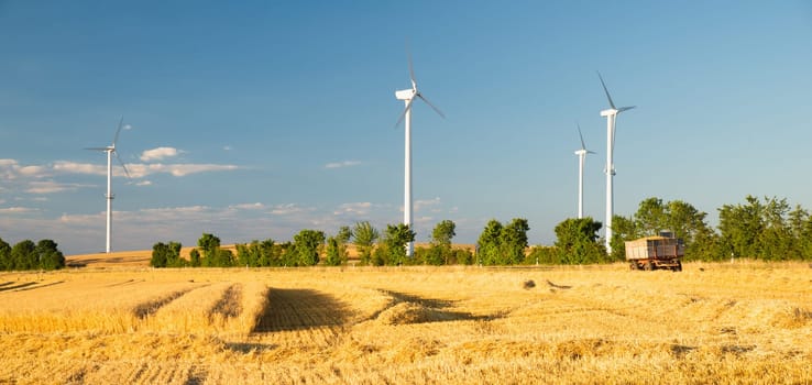 Windmills in a wheat field, renewable sustainable energy, electricity generator, environmental conversation
