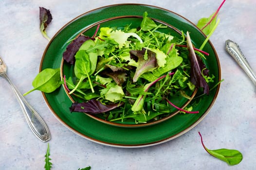 Green fresh salad with arugula, spinach, purple lettuce and chard. Fresh spring salad.