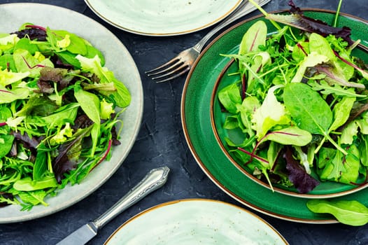 Green fresh salad with arugula, spinach, purple lettuce and chard. Fresh spring salad.
