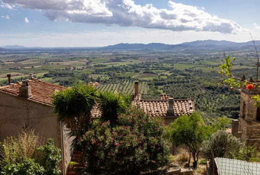 Farmland and olive groves around Montemassi in the province of Grosseto. Italy
