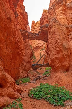 Natural Bridges in a Red Rock Canyon in Bryce Canyon National Park in Utah