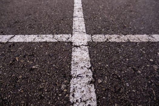 Detail of information lines on the asphalt