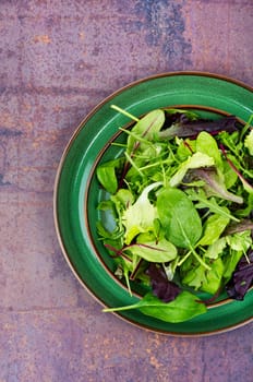 Mixed of fresh salad leaves on the plate. Healthy eating concept