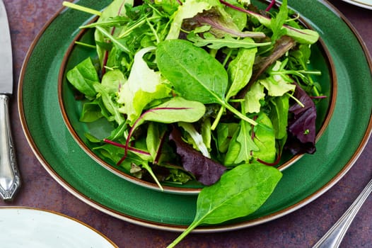 Mixed of fresh salad leaves on the plate. Healthy eating concept