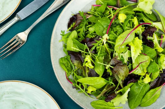 Mixed of fresh salad leaves on the plate. Healthy eating concept