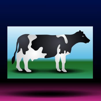 Black motley cow