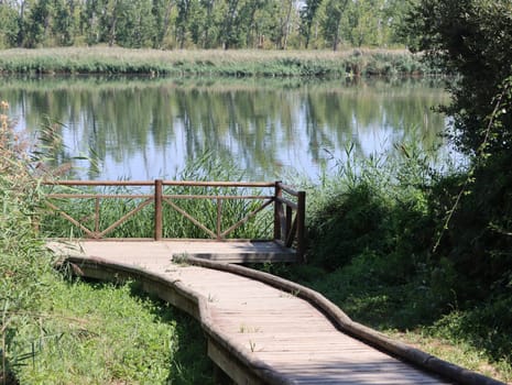 wooden path bound for the river safe walk