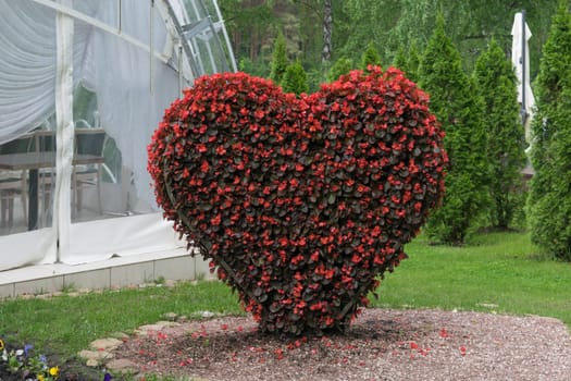 Big Heart (topiary figure) of fresh flowers