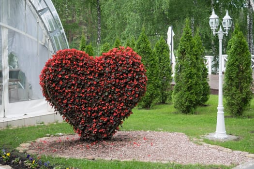 Big Heart (topiary figure) of fresh flowers