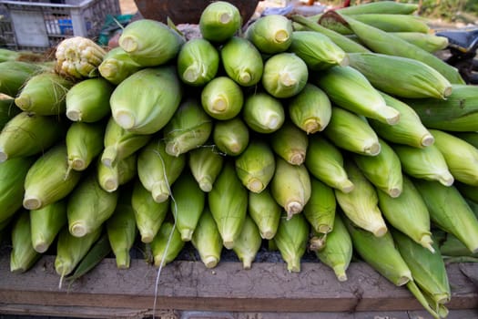 Fresh corn cob and green leaves' background texture