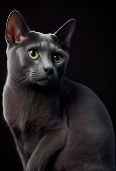 Russian blue cat.  Generative AI.