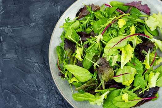 Mix of fresh light salad leaves on the plate. Green food. Food background