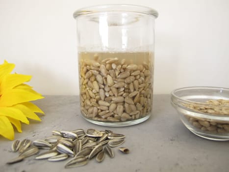 Soaked sunflower seeds, seeds from sunflowers in water