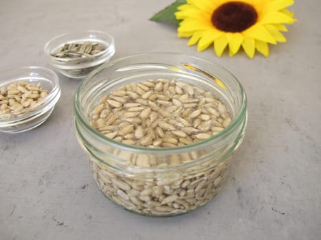 Soaked sunflower seeds, seeds from sunflowers in water
