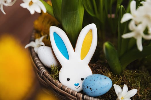 Easter bunny gingerbread cookie laying on the hyacinth flowerpot, moss. Rabbit ears are colored with yellow blue as Ukraine flag. White and blue Easter eggs. White flowers close up. High quality photo