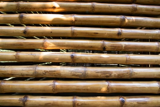 Varnish bamboo fence abstract background texture