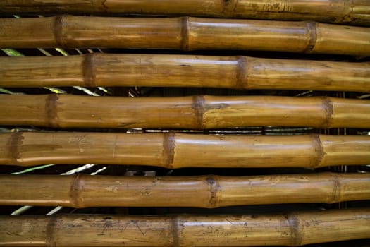 Varnish bamboo fence abstract background texture