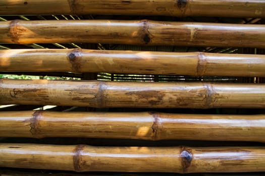 Varnish bamboo fence abstract background texture