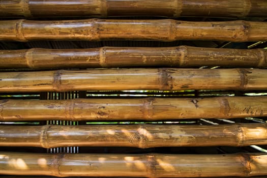 Varnish bamboo fence abstract background texture