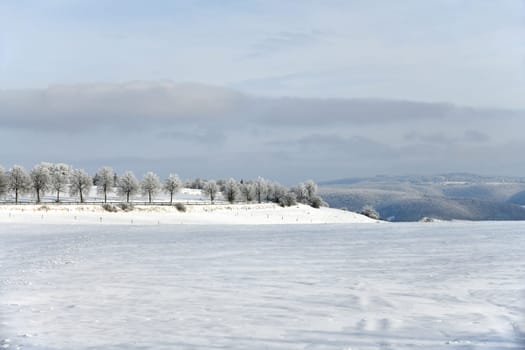 Country road with snowy trees