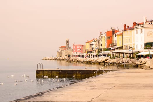 old town Piran - beautiful Slovenian adriatic coast