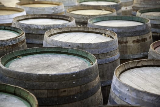 Detail of old oak wooden barrels to store wine